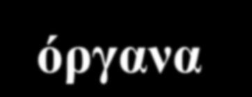 Το σώμα μας οικοδομείται από χημικά μόρια &