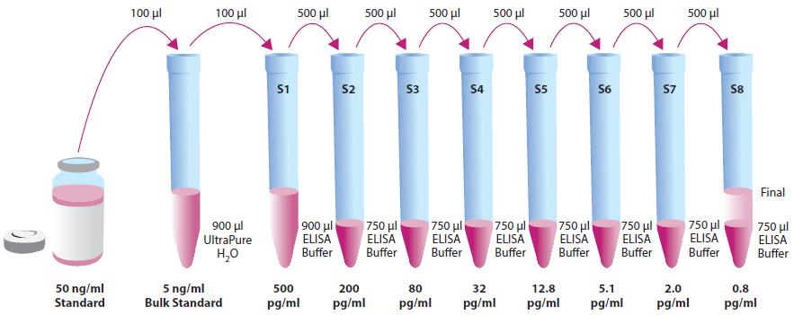 146 Standard σε ένα eppendorf που περιέχει 900 μl ddh2o. Ακολουθεί ανάδευση. Σταθερό στους 4οC για 6 εβδομάδες.