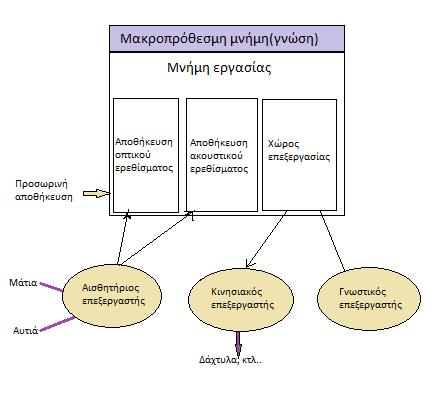 Μοντέλο επεξεργασίας Ο άνθρωπος περιγράφεται από 3 αλληλεπιδρώντα υποσυστήματα: 1. Το αισθητήριο 2.