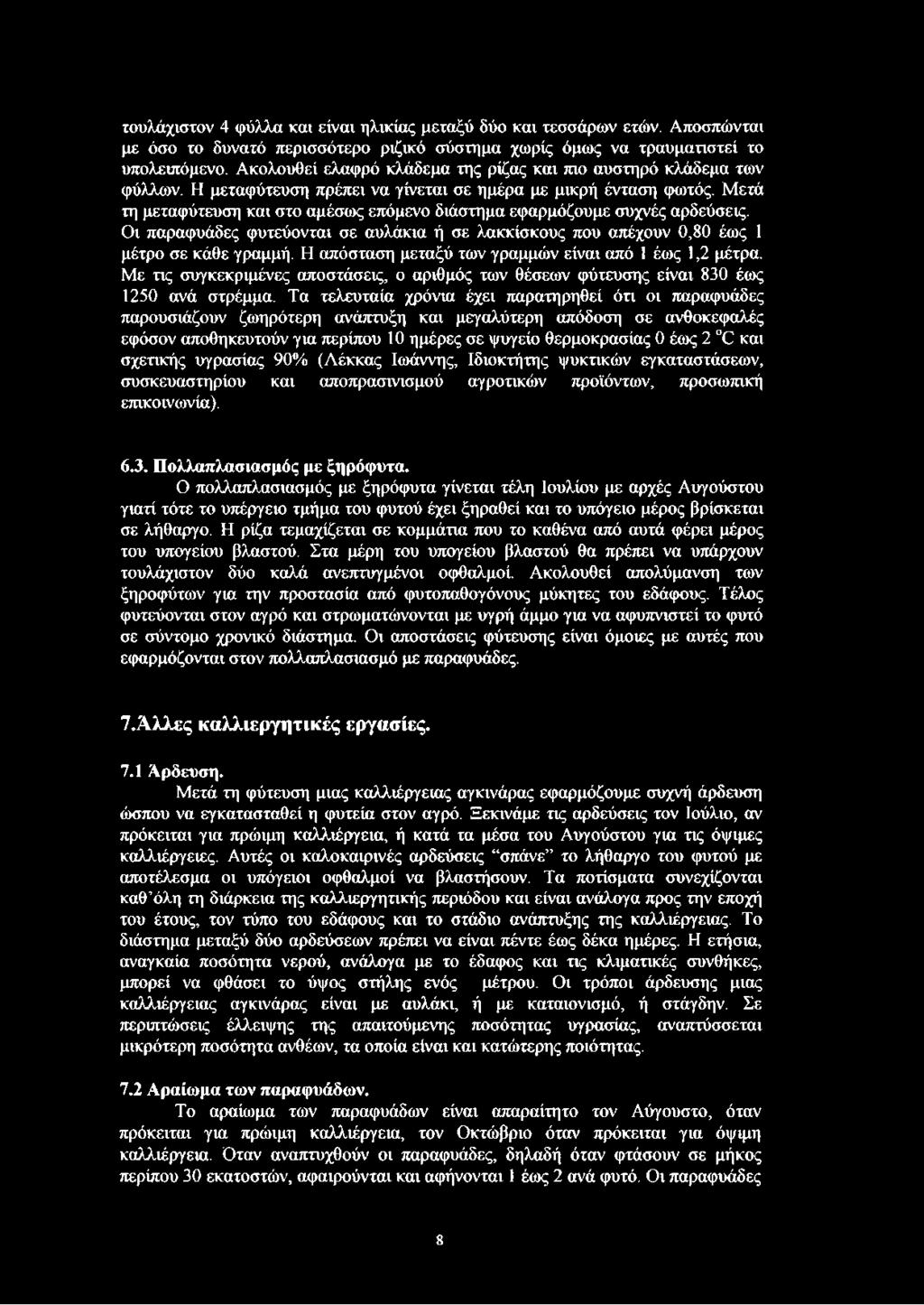 Μετά τη μεταφύτευση και στο αμέσως επόμενο διάστημα εφαρμόζουμε συχνές αρδεύσεις. Οι παραφυάδες φυτεύονται σε αυλάκια ή σε λακκίσκους που απέχουν 0,80 έως 1 μέτρο σε κάθε γραμμή.