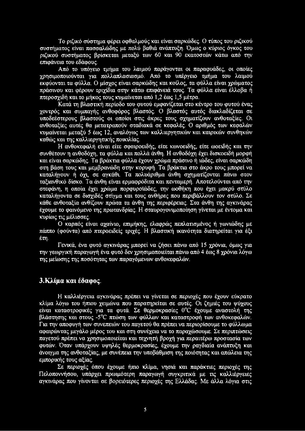 Από το υπόγειο τμήμα του λαιμού παράγονται οι παραφυάδες, οι οποίες χρησιμοποιούνται για πολλαπλασιασμό. Από το υπέργειο τμήμα του λαιμού εκφύονται τα φύλλα.