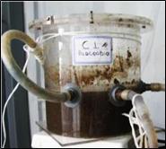Αναερόβια (ΑΝΑ2.4L) Κυλινδρική δεξαμενή διαμέτρου 16 cm, ωφέλιμου βάθους 12 cm και συνολικού όγκου 2,4 L.