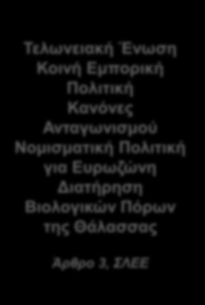 ΟΙ ΑΡΜΟΔΙΟΤΗΤΕΣ ΤΗΣ ΕΥΡΩΠΑΙΚΗΣ ΕΝΩΣΗΣ Αποκλειστικές Τελωνειακή Ένωση Κοινή