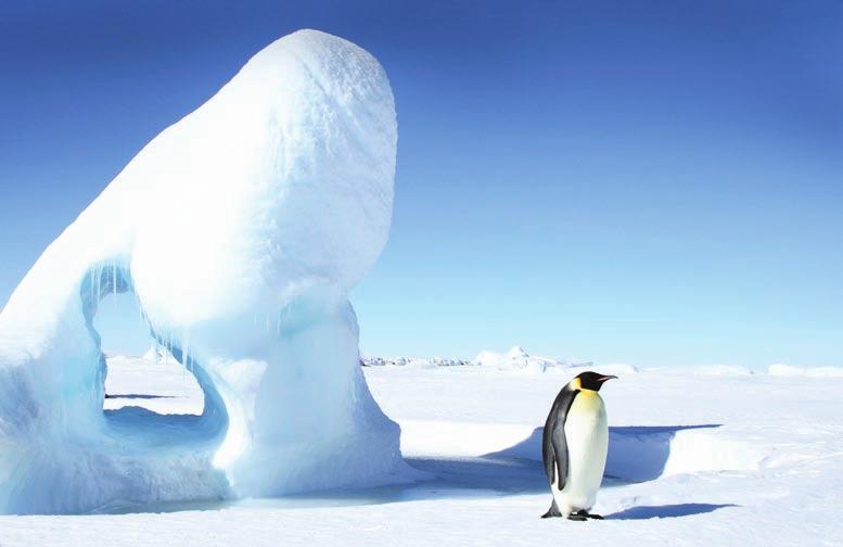 NA" E P Á K IC T S A L E "VISCO ULTIMATE polargelfoam FRESHNESS Absolútna novinka. Z výskumu koloidných systémov sa zrodila pena PolarGel.