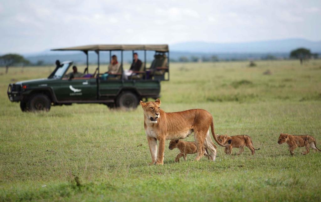 Selous flying safari 3 nights & Zanzibar 4 nights Selous Riverside Camp Hidden amongst the dense forest and on the banks of the Rufiji River is Selous Riverside Safari Camp.