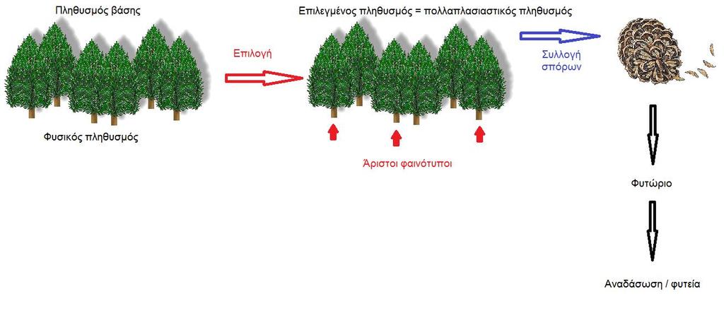Μαζική