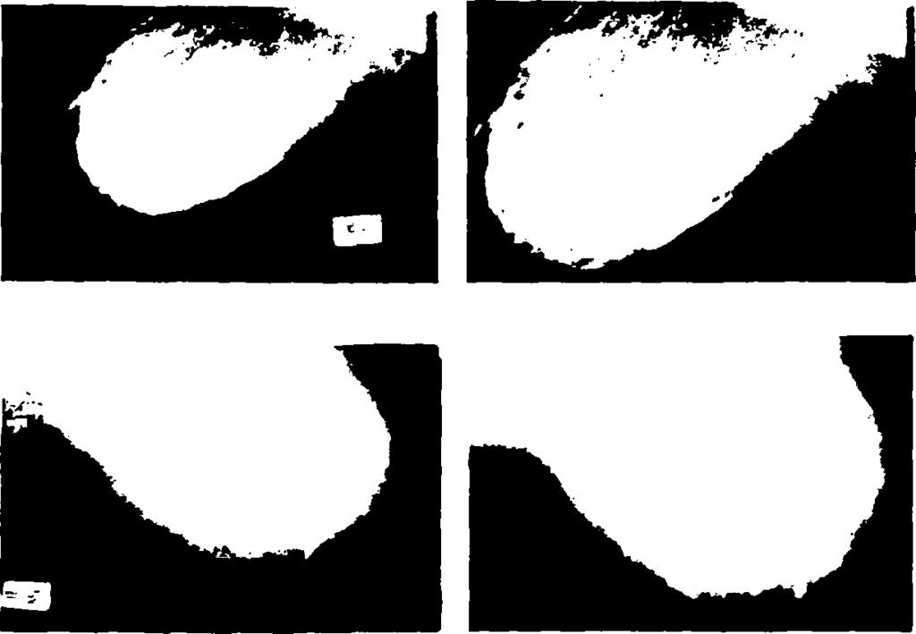 από 20 αντιστοιχούν σε pixels με φωτεινότητα 255).