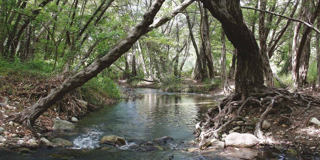 ΠΛΗΡΟΦΟΡΙΕΣ ΘΡΗΣΚΕΥΤΙΚΟΥ ΕΝΔΙΑΦΕΡΟΝΤΟΣ: Ο ναός της Αγίας Βαρβάρας. Η Μονή της Παναγιάς της Σαλαμιώτισσας, η οποία προϋπήρχε από τις αρχές του 16 ου αιώνα.
