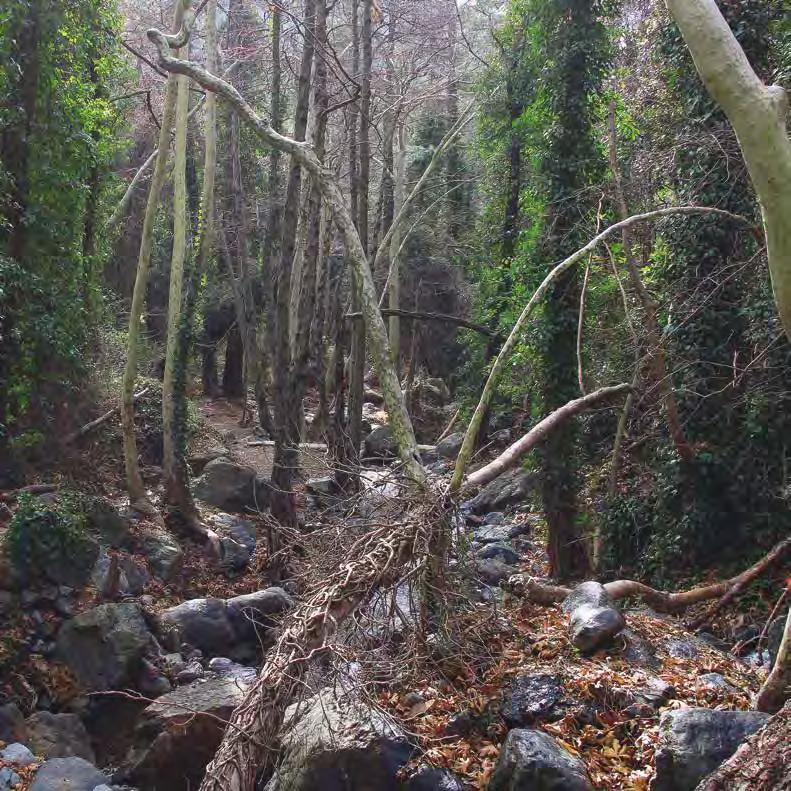 ΥΠΟΜΝΗΜΑ Διαδρομή EDEN 1 Εκδρομικός χώρος Αρχ.