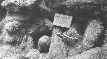 Εικόνα 4: Τεφροδόχο αγγείο όπως βρέθηκε στη θήκη στο Κριαρίτσι