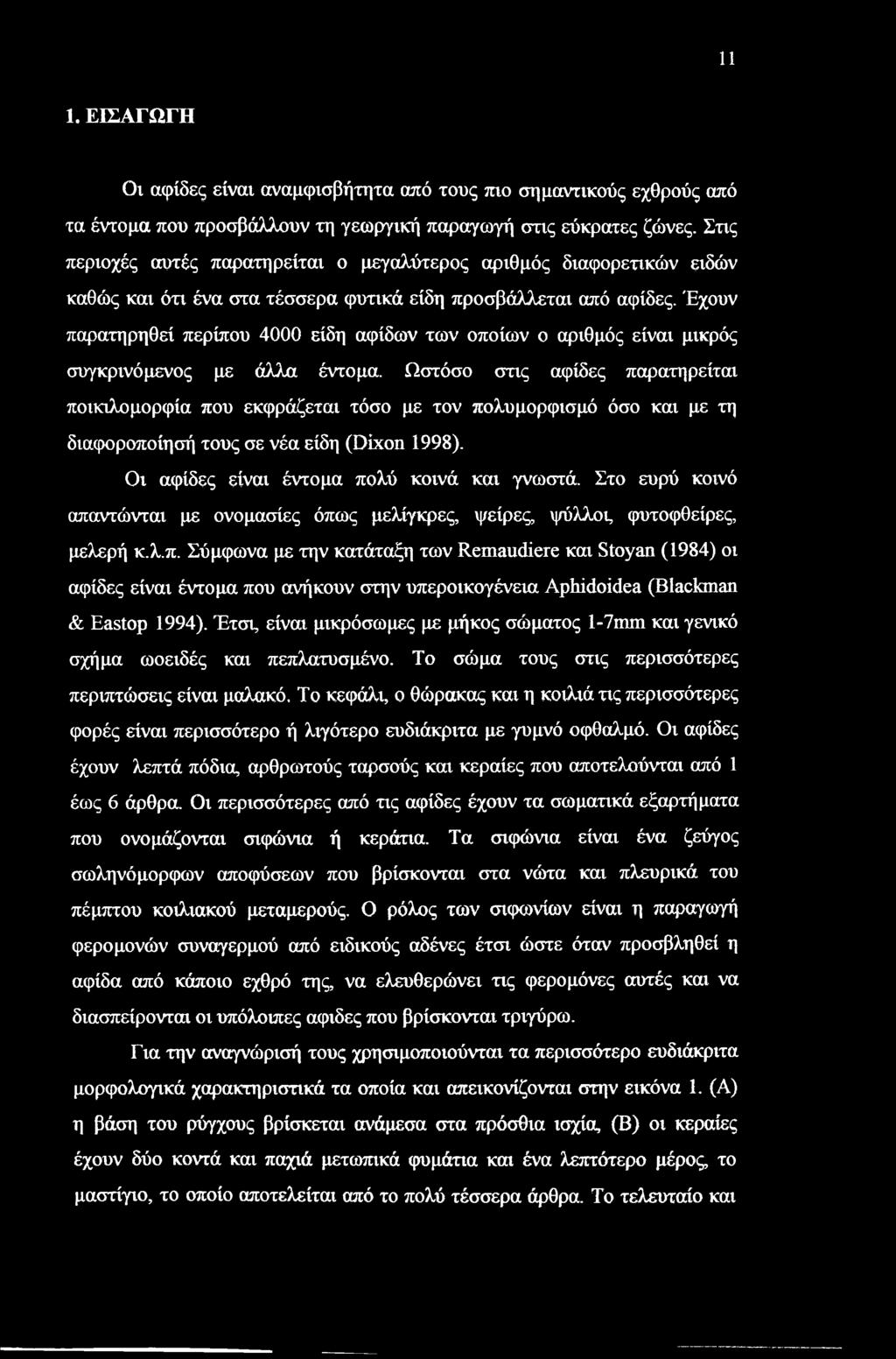 Έχουν παρατηρηθεί περίπου 4000 είδη αφίδων των οποίων ο αριθμός είναι μικρός συγκρινόμενος με άλλα έντομα.