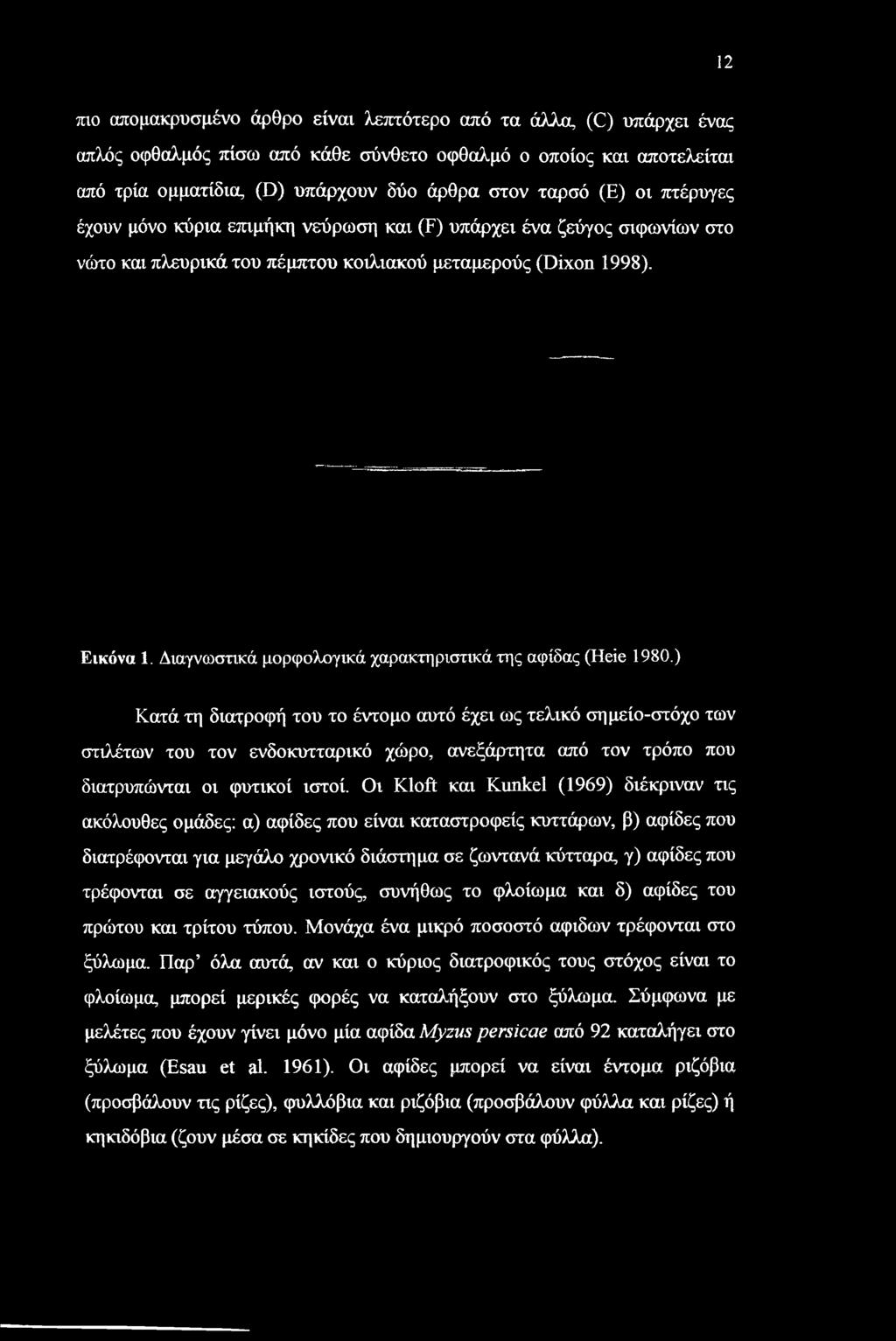 Διαγνωστικά μορφολογικά χαρακτηριστικά της αφίδας (Heie 1980.