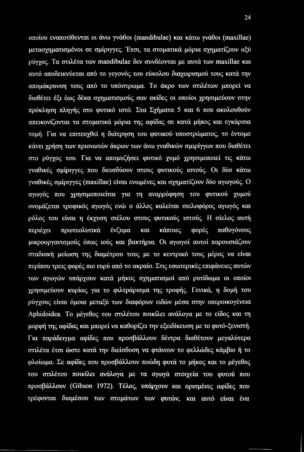 24 οποίου εναποτίθενται οι άνω γνάθοι (mandibulae) και κάτω γνάθοι (maxillae) μετασχηματισμένοι σε σμίριγγες. Έτσι, τα στοματικά μόρια σχηματίζουν οξύ ρύγχος.