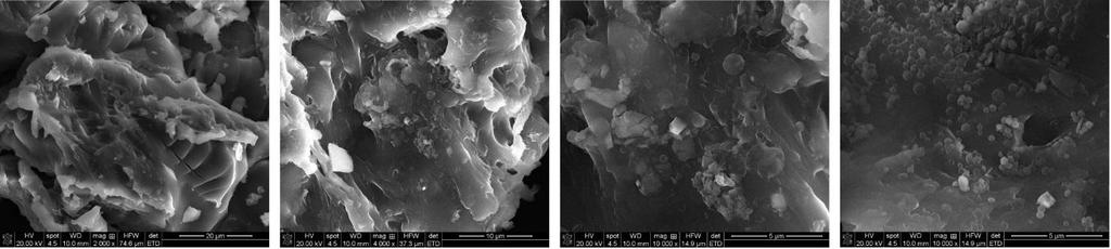Fig. 2.1c. Imaginile SEM ale xerogelurilor simple pe baza de PAA cu IS incapsulat la diferite marimi Fig. 2.1d.