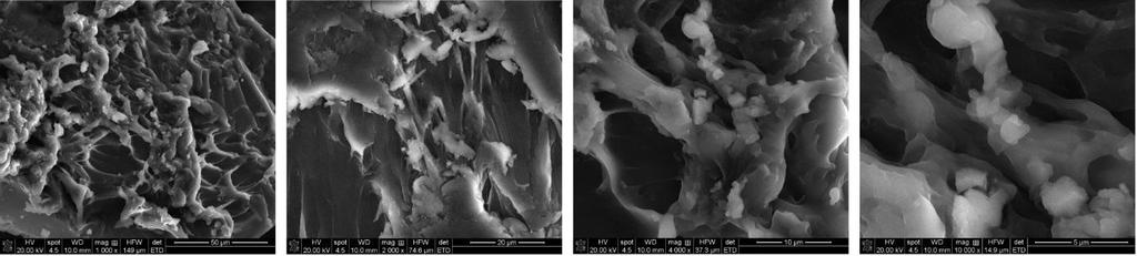 Influenta concentratiei agentului de reticulare [MBA] asupra gradului de gonflare/absorbtiei de apa Hidrogelurile sintetizate au fost caracterizate in scopul determinarii influentei concentratiei de