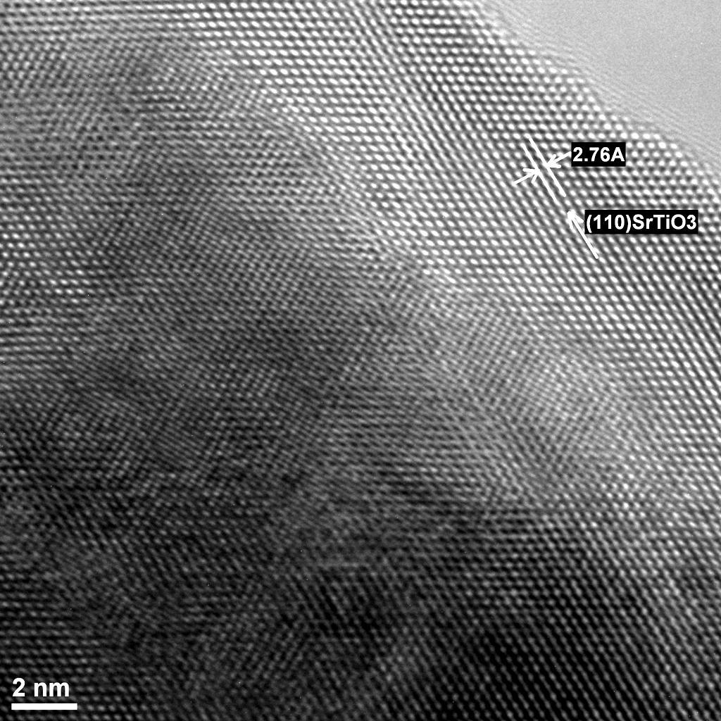 Imagini de microscopie electronica prin