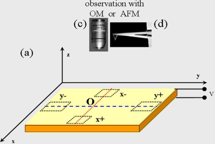 platform E ex =0 kv/cm E ex 0 kv/cm Οπτική πλατφόρμα τοποθέτησης δείγματος S zi =2Δl i / l i με