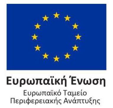ΠΟΥ ΣΥΜΜΕΤΕΙΧΑΝ ΕΠΙΤΥΧΩΣ ΣΕ ΚΟΙΝΕΣ ΠΡΟΚΗΡΥΞΕΙΣ ΥΠΟΒΟΛΗΣ ΠΡΟΤΑΣΕΩΝ ΤΩΝ ΕΥΡΩΠΑΪΚΩΝ ΔΙΚΤΥΩΝ ERA-NETS» ΠΡΑΞΗ/ΔΡΑΣΗ/ΕΡΓΟ: ERA-NET/E-Rare-3: Joint Translational Call (2015) for "European Research Projects
