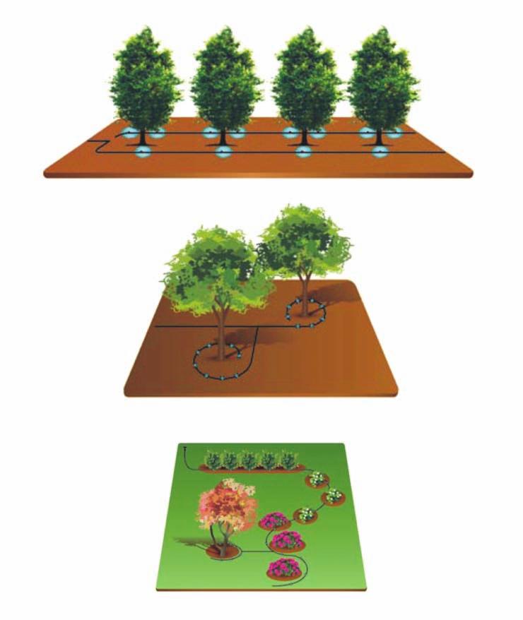 ΤΕΧΝΙΚΕΣ ΣΕΛΙΔΕΣ Διάφορες διατάξεις αγωγών διανομής. 2 Όταν το μέγεθος των φυτών είναι μεγάλο, το πότισμα γίνεται με μικροεκτοξευτήρες. 3 Τυπική διάταξη συστήματος άρδευσης στάγδην.
