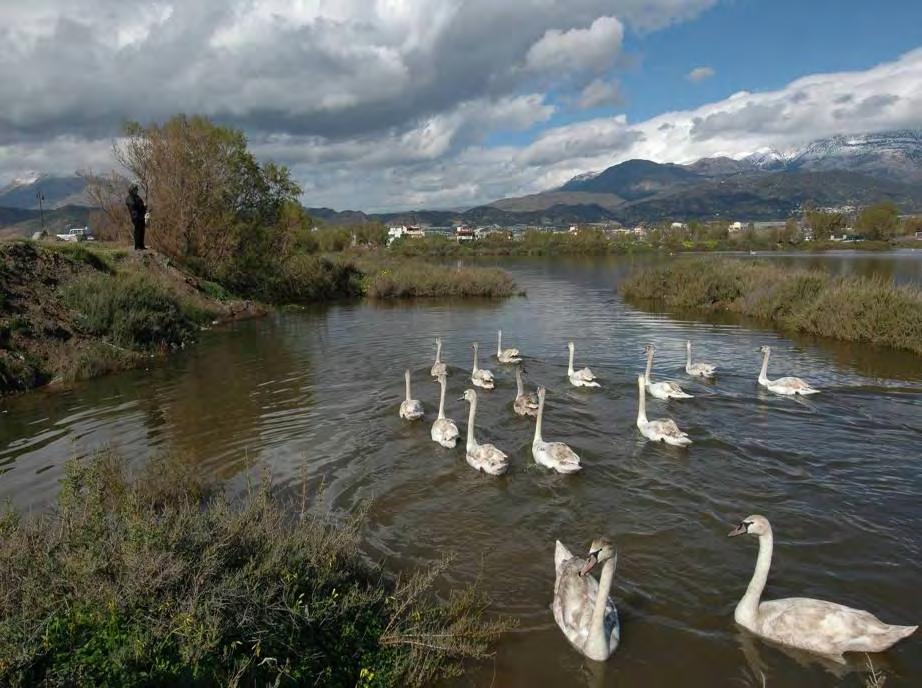 Καλουστ Παραγκαμιάν / WWF Ελλάς