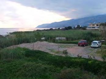 της Κρήτης Θάνος