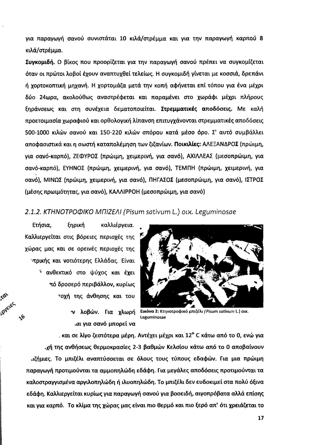 για παραγωγή σανού συνιστάται 10 κιλά/στρέμμα και για την παραγωγή καρπού 8 κιλά/στρέμμα. Συγκομιδή.
