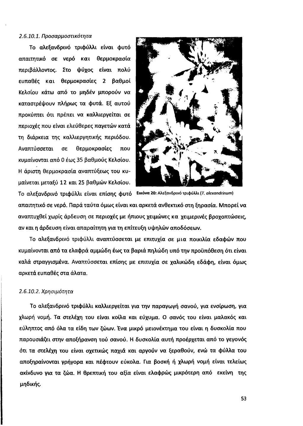 2.6.10.1. Προσαρμοστικότητα Το αλεξανδρινό τριφύλλι είναι φυτό απαιτητικό σε νερό και θερμοκρασία περιβάλλοντος.