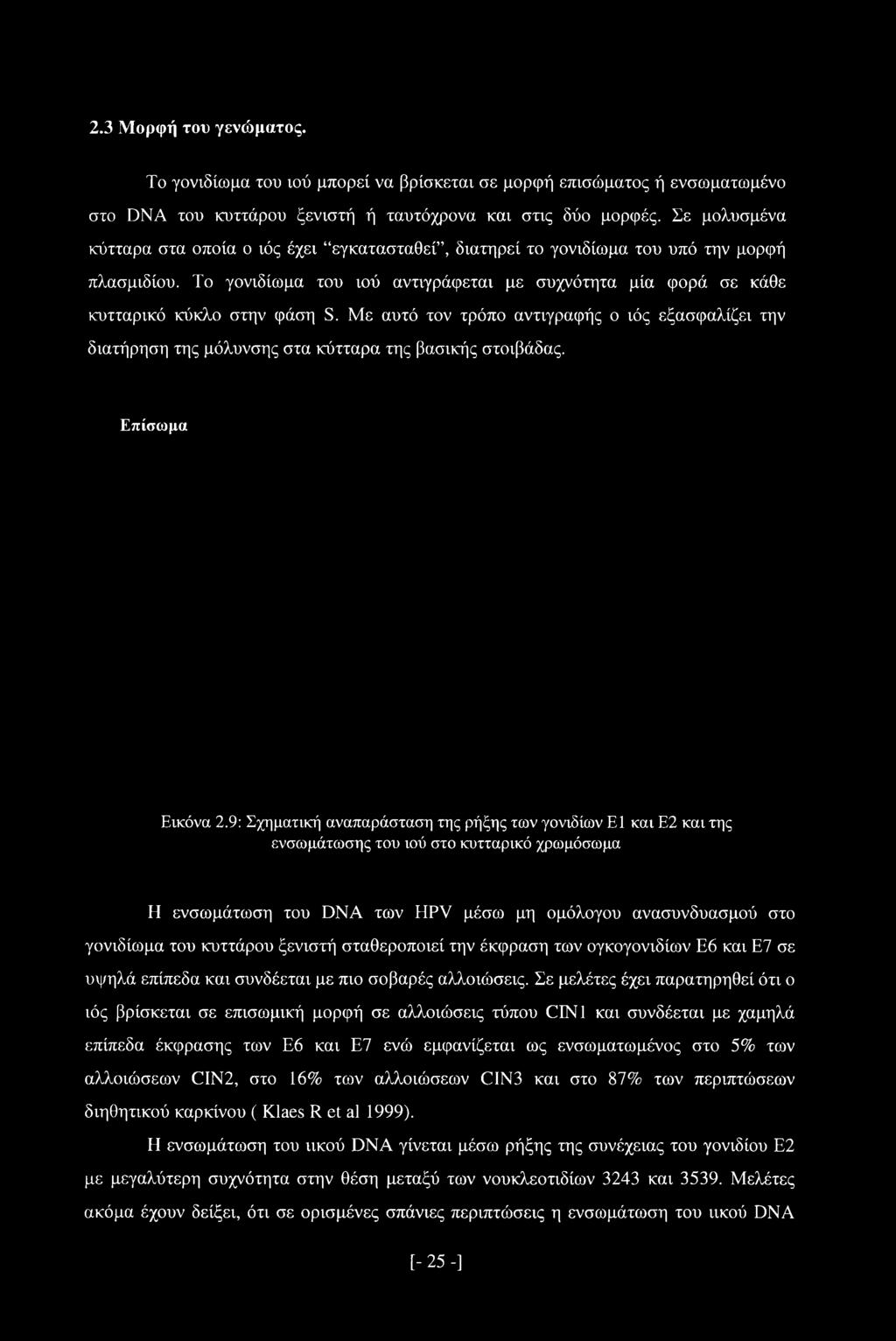 Με αυτό τον τρόπο αντιγραφής ο ιός εξασφαλίζει την διατήρηση της μόλυνσης στα κύτταρα της βασικής στοιβάδας. Επίσωμα Εικόνα 2.