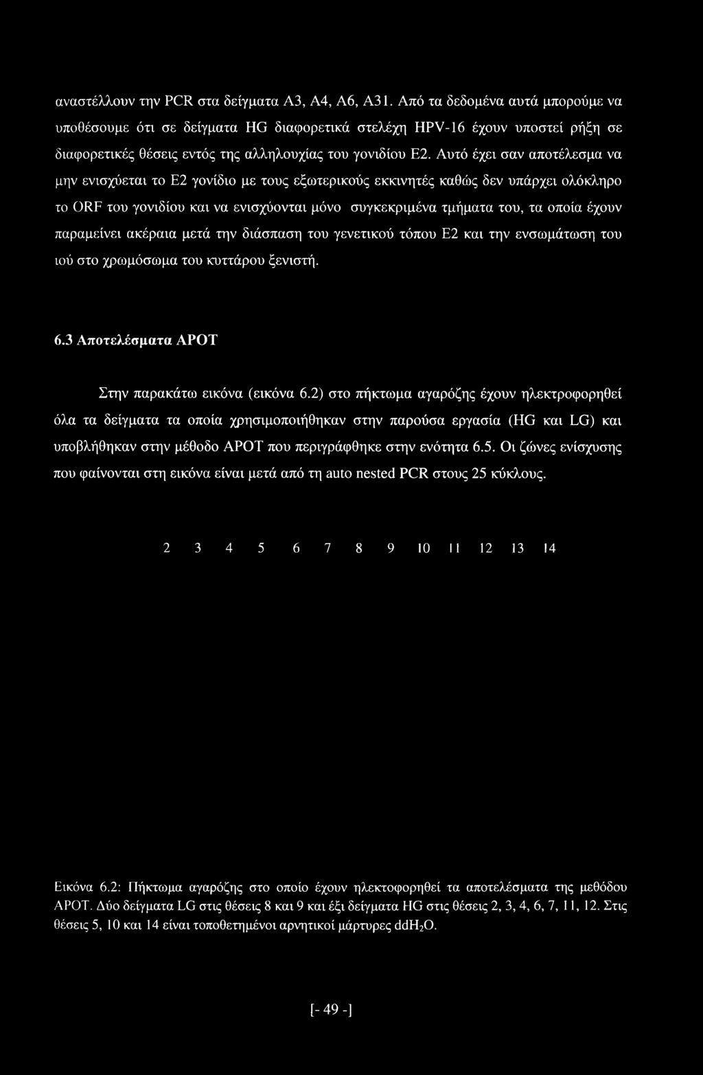 αναστέλλουν την PCR στα δείγματα A3, Α4, Α6, Α31.