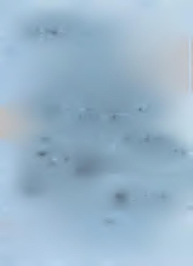 *;i η.