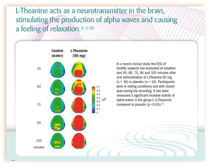 L - theanine Αυξάνει την πυκνότητα των α κυμάτων στο ΗΕΓ Δρά σαν νευρομεταβιβαστής α κύματα : συσχετίζονται με ηρεμία χωρίς καταστολή Η L-theanine