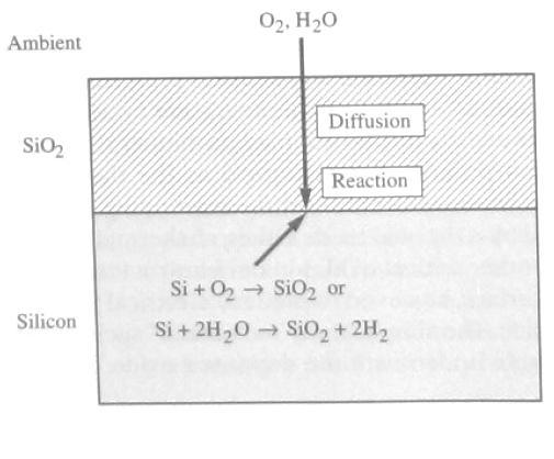 Σχήμα 1.11. Βασική διαδικασία για την οξείδωση του πυριτίου. Η χημική αντίδραση συμβαίνει στην διεπιφάνεια Si/SiO2. Σχήμα 1.12. Η επέκταση του όγκου που συμβαίνει κατά την οξείδωση του πυριτίου.
