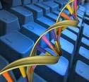 Βιολογικοί (ή DNA) Υπολογιστές... Μέλλον (Dreams or Reality?) Υπολογιστές ειδικά σχεδιασμένοι για βιολογικές εφαρμογές. Κατασκευασμένοι από DNA και RNA. Ειδικά ένζυμα αλλάζουν τις βάσεις του DNA.