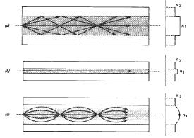 GRIN Optical Fibers a