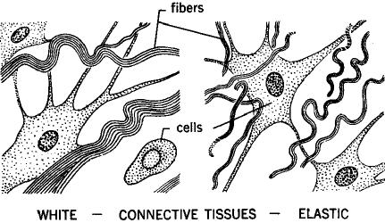 et al, 1979