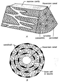 I. et al, 1979