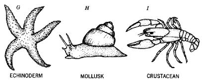et al, 1979