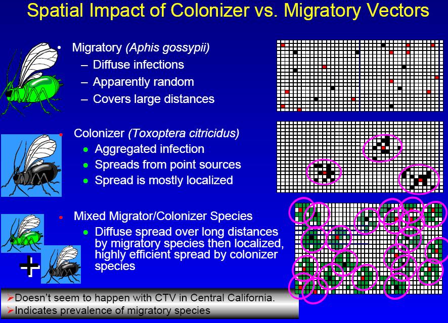 Spatial impact of colonizer vs.