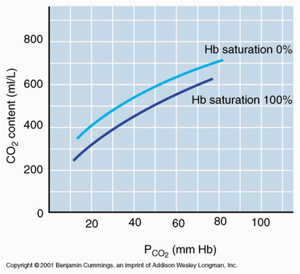 Φαινόμενο Haldane Η αναχθείσα (μη οξυγονωμένη) μορφή της Hb είναι καλύτερος αποδέκτης Η + από την οξυγονωμένη.