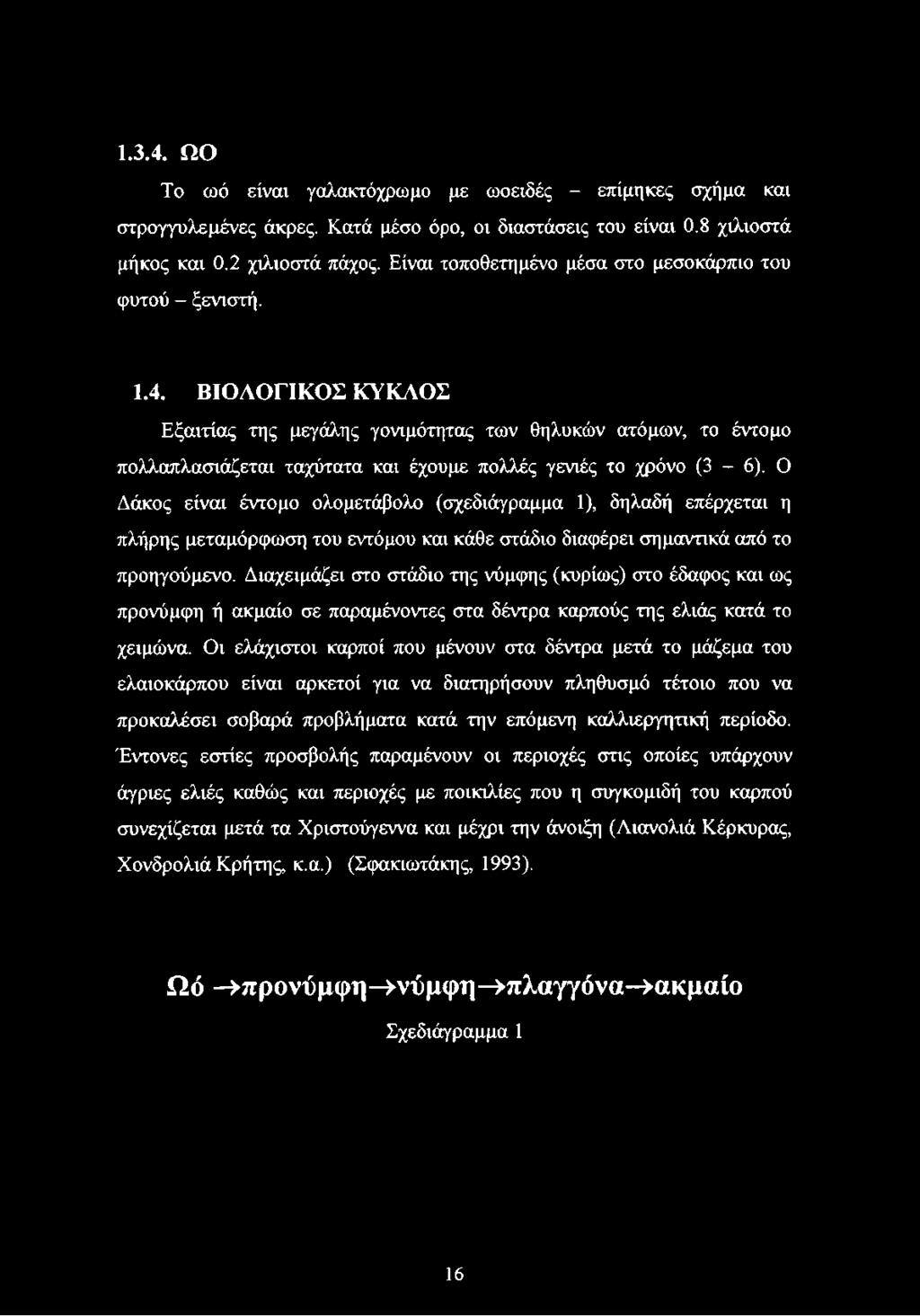 ΒΙΟΛΟΓΙΚΟΣ ΚΥΚΛΟΣ Εξαιτίας της μεγάλης γονιμότητας των θηλυκών ατόμων, το έντομο πολλαπλασιάζεται ταχύτατα και έχουμε πολλές γενιές το χρόνο (3-6).