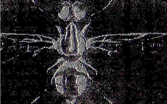 ελέγχου του Δάκου της ελιάς [Bactrocera oleae (GmeL), Díptera: