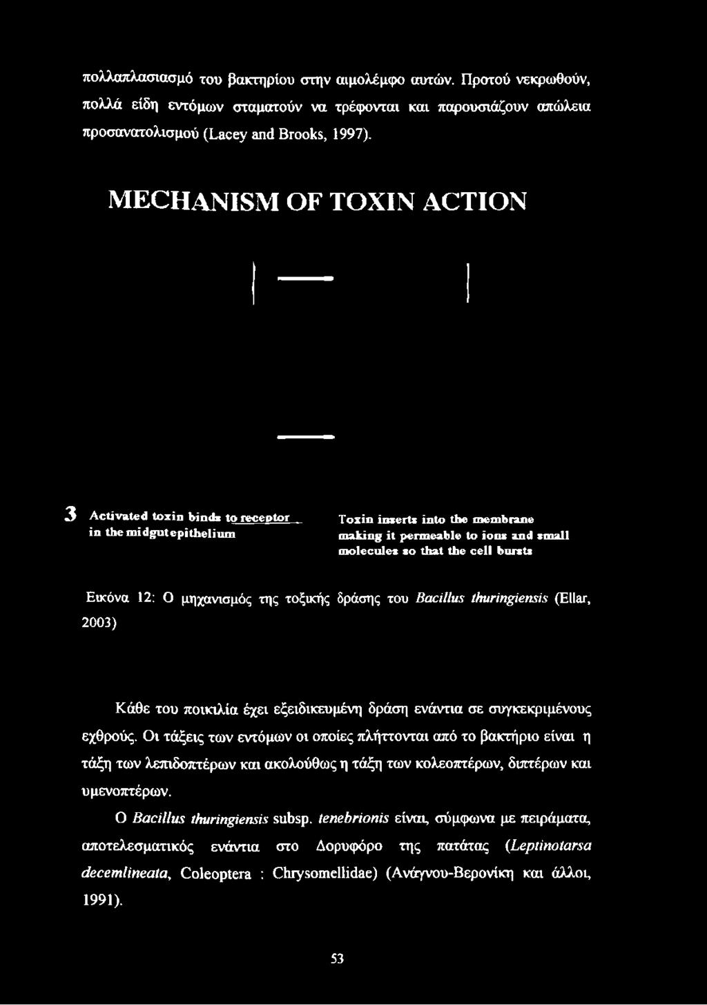 προσανατολισμού (Lacey and Brooks, 1997).
