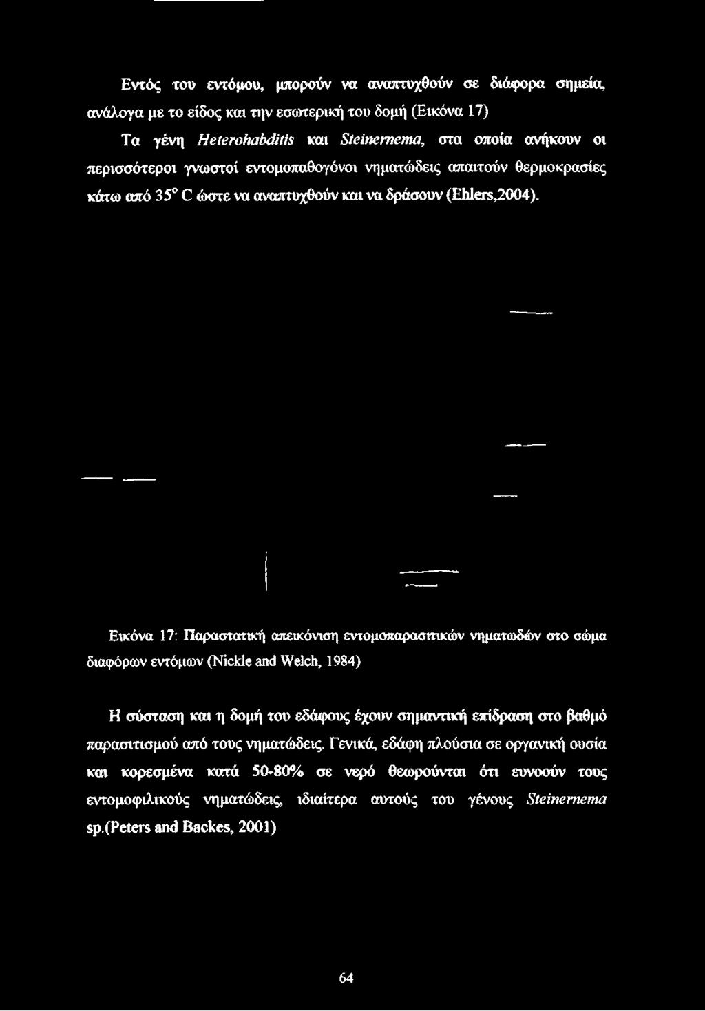 Τα γένη ΗβίβτοΗαΒάίύζ και ΞίβίηβηΊβηΜ, στα οποία ανήκουν οι