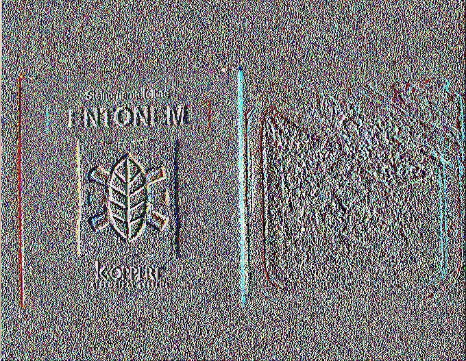 Entonem