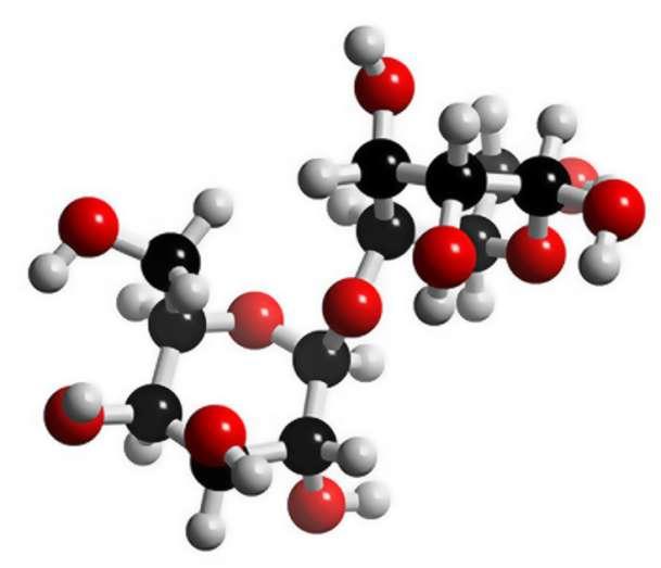 (Εικόνα 2) Μοριακή δομή λακτόζης.