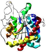 azličiti elementi strukture i strukturni domeni proteina, kreću se u različitim pravcima.