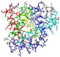 Primer Mioglobin -terminus hem D. Kvaternarna struktura proteina Koje sile obezbeđuju kvaternarnu asocijaciju?