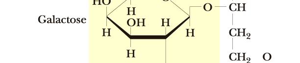 pri govejem α1(i) kolagenu