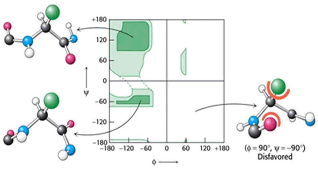 Ramachandranov diagram soodvisnost vrednosti kotov Φ in Ψ