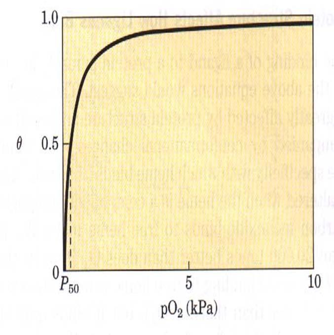 Mb ni primeren za prenos kisika iz pljuč v tkiva Vezava O 2 na Mb Mb + O 2 MbO 2 θ po2 po P 2 50 Razmere v pljučih: PO 2